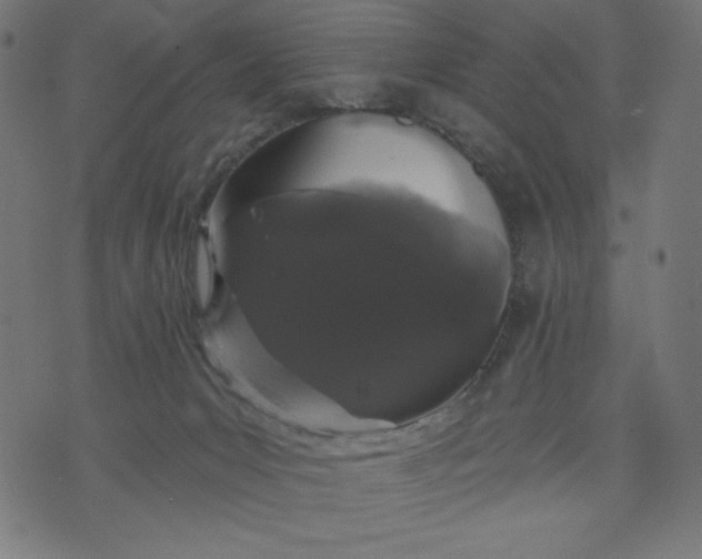 X0000070340031200606231543