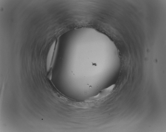 X0000070340033200606231543