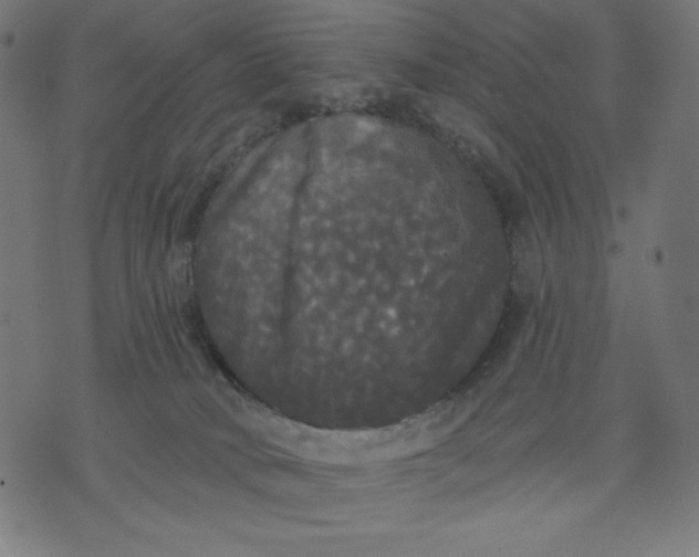 X0000070340034200606231543