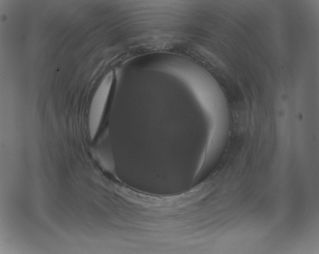 X0000070340035200606231543