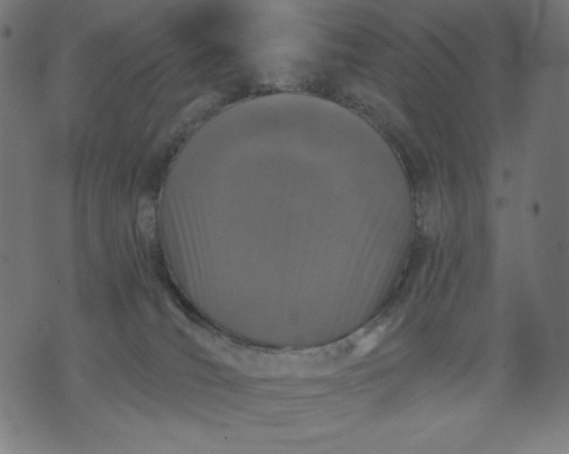 X0000070340036200606231543