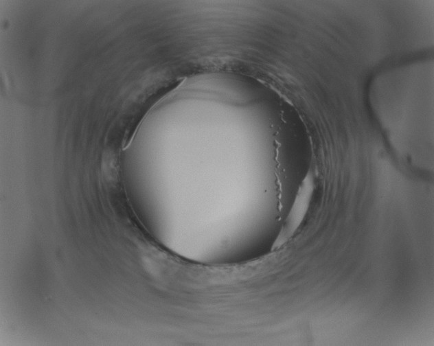 X0000070340037200606231543