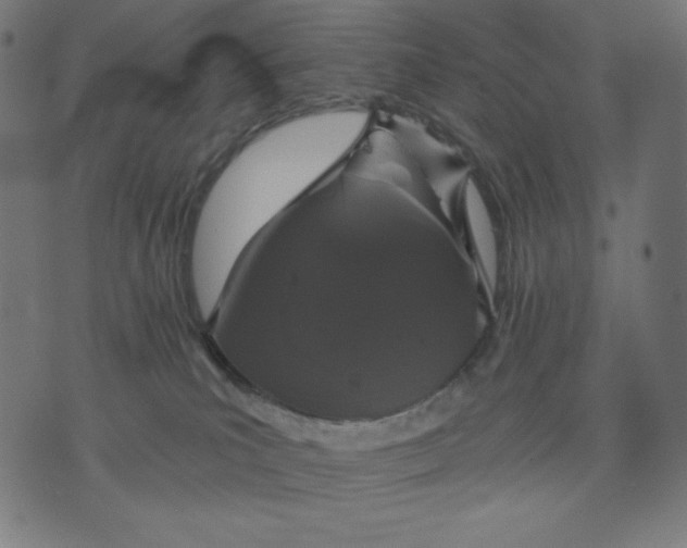 X0000070340039200606231543