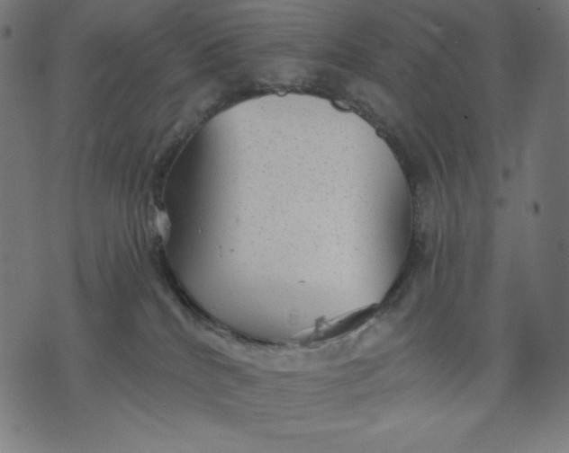 X0000070340040200606231543