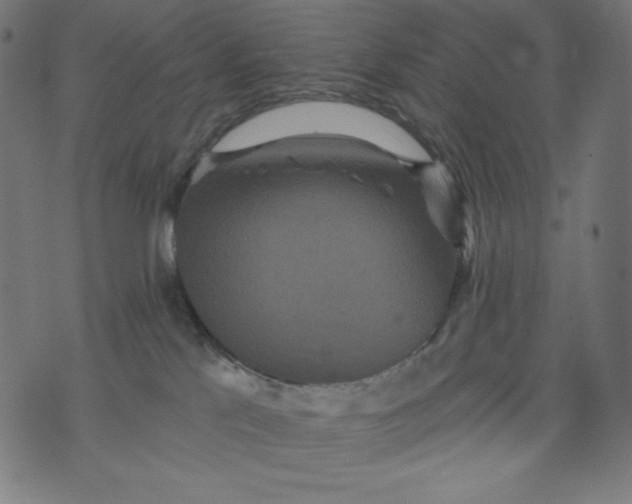 X0000070340041200606231543