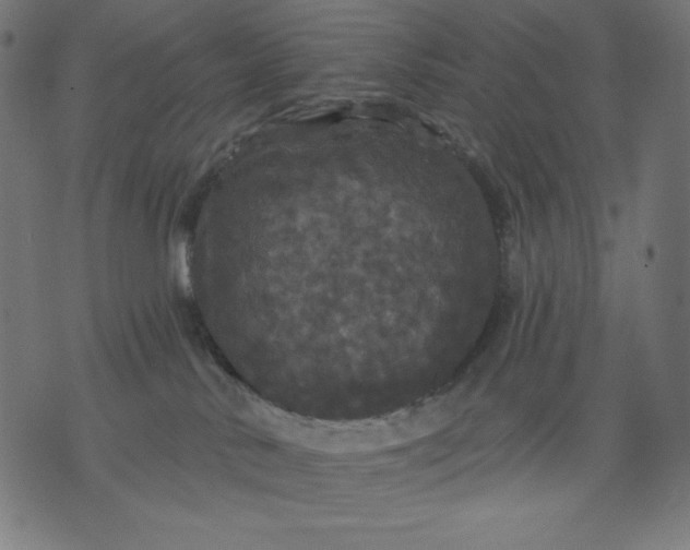 X0000070340042200606231543