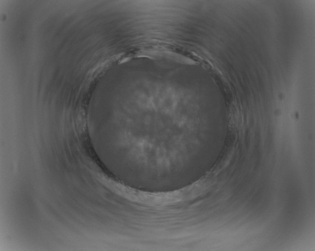 X0000070340043200606231543