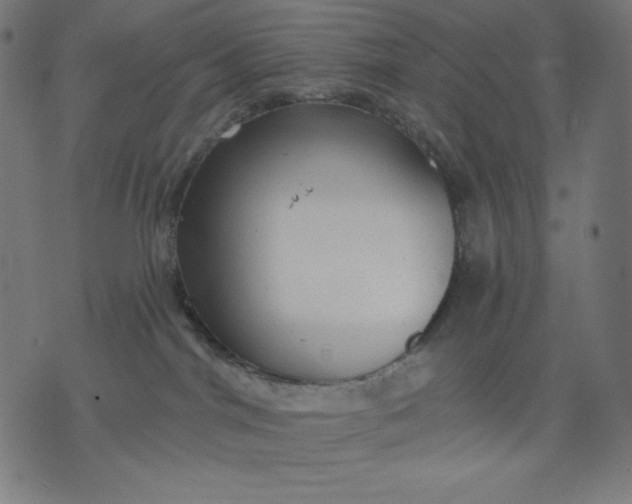 X0000070340044200606231543