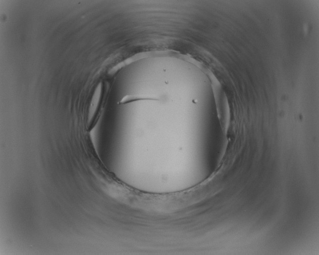 X0000070340045200606231543