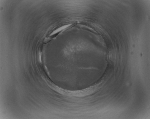 X0000070340046200606231543