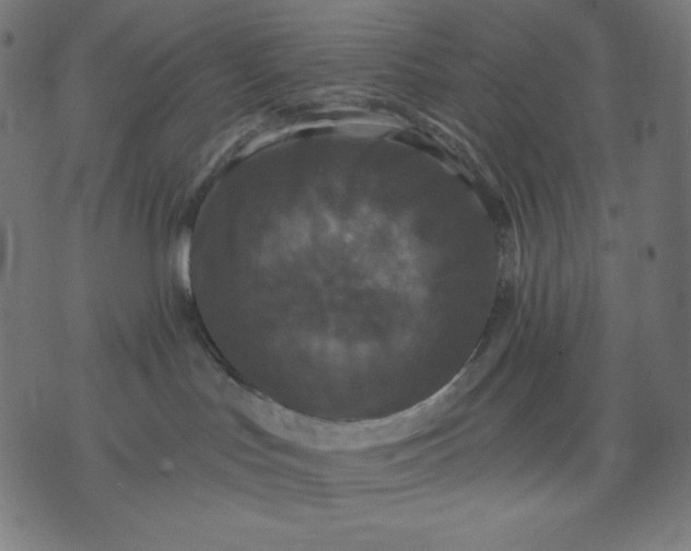 X0000070340047200606231543