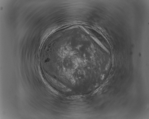 X0000070340049200606231542