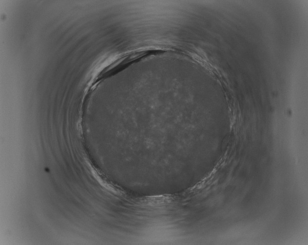 X0000070340050200606231542