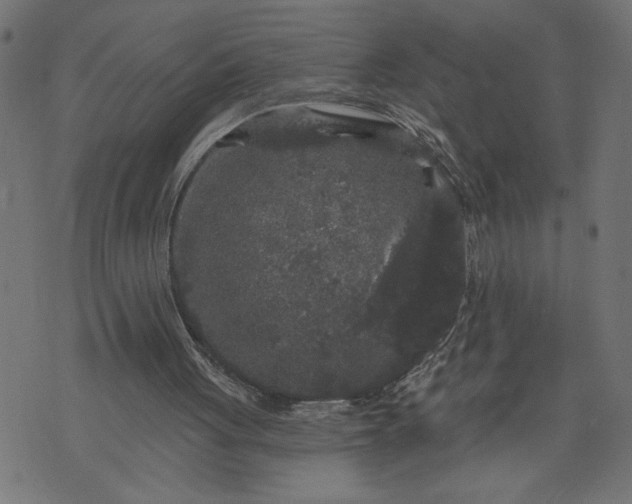 X0000070340051200606231542