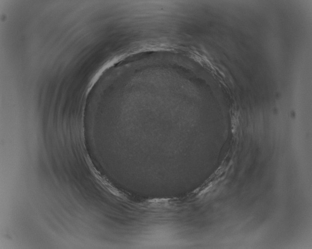 X0000070340052200606231542