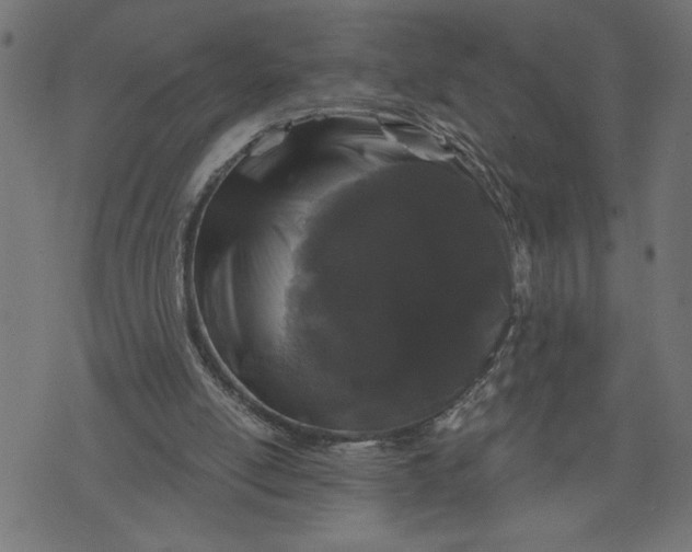 X0000070340054200606231542