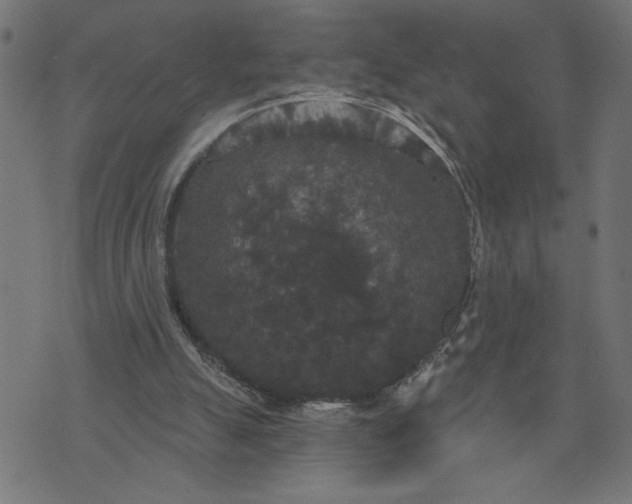 X0000070340055200606231542