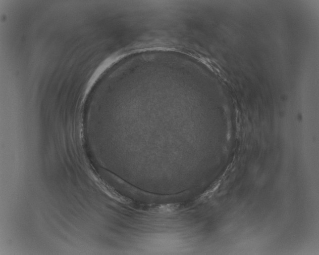 X0000070340056200606231542