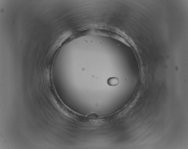 X0000070340057200606231542