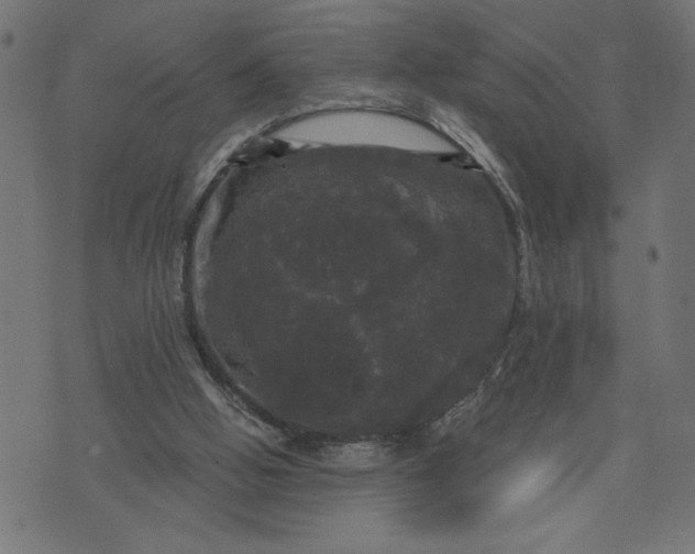 X0000070340058200606231542