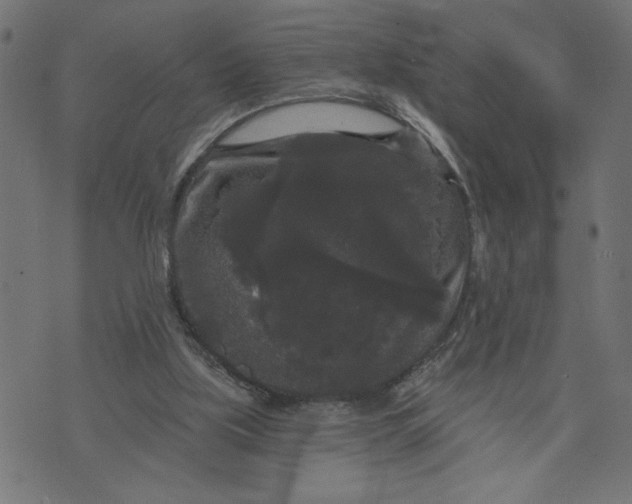 X0000070340059200606231542