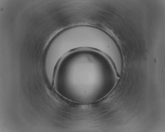 X0000070340060200606231542