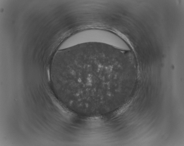 X0000070340061200606231542