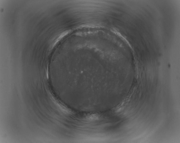 X0000070340062200606231542