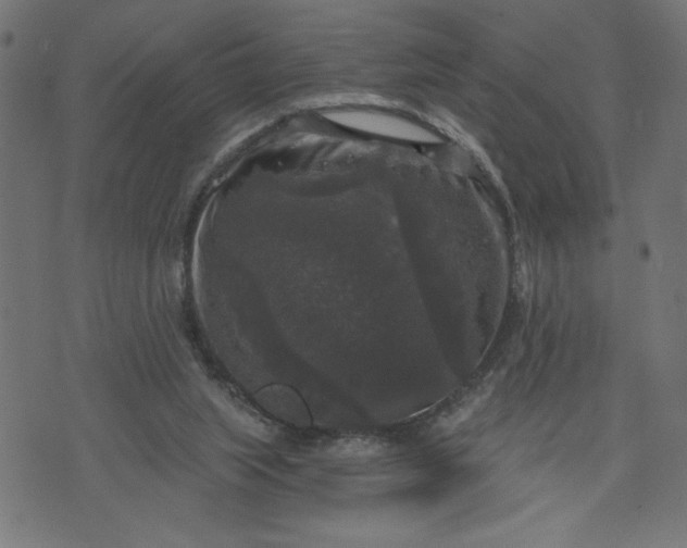 X0000070340063200606231542