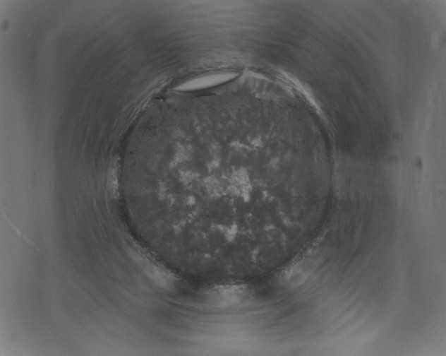 X0000070340065200606231542