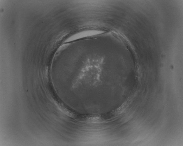 X0000070340066200606231542