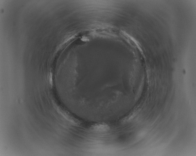 X0000070340067200606231542