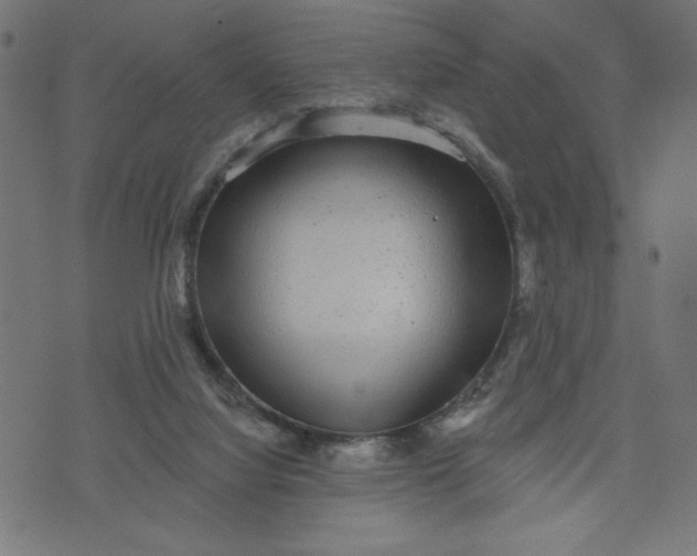 X0000070340068200606231542