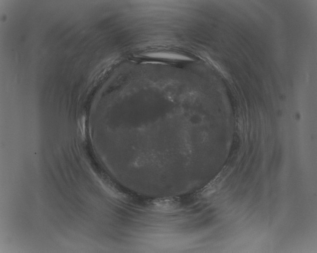 X0000070340070200606231543