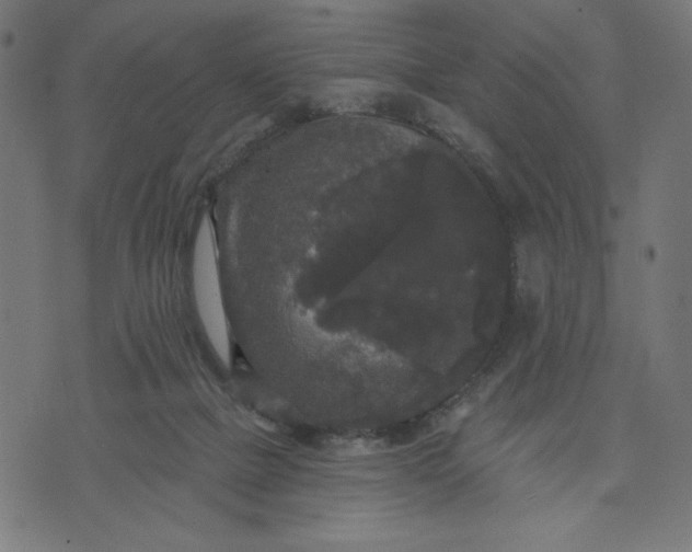 X0000070340073200606231543