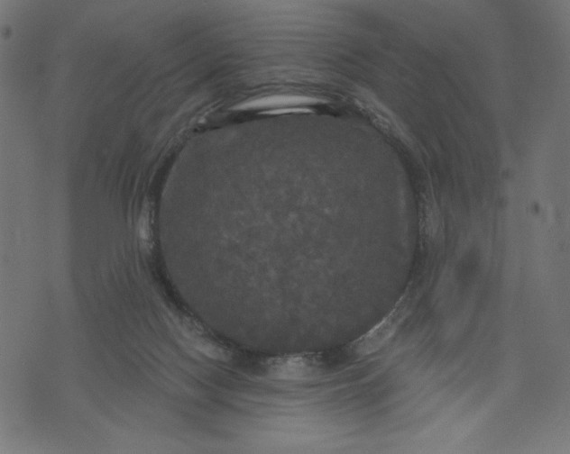 X0000070340074200606231543