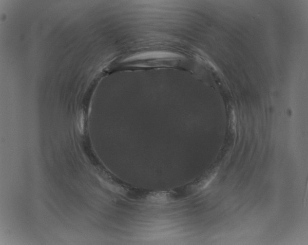 X0000070340076200606231543