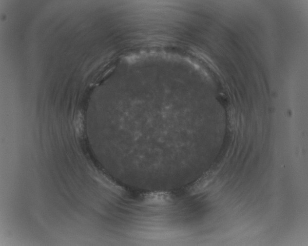 X0000070340077200606231543