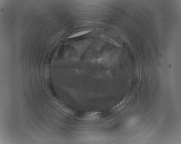 X0000070340078200606231543