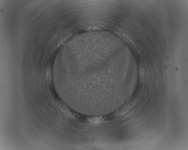 X0000070340079200606231543