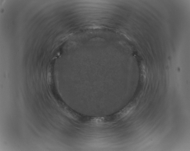 X0000070340080200606231543