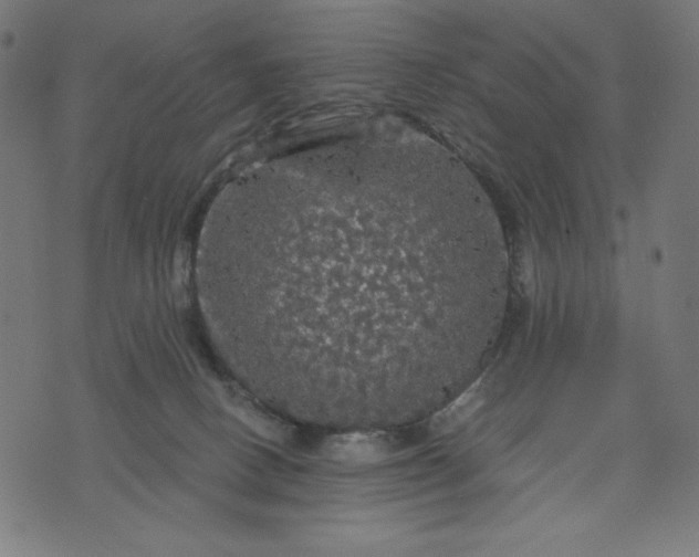 X0000070340082200606231543