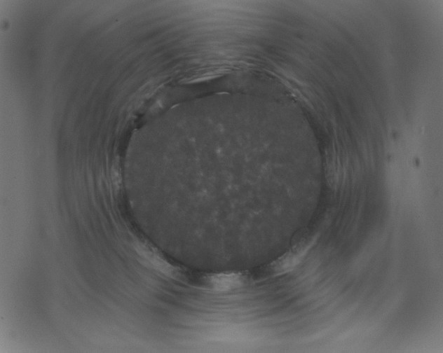 X0000070340085200606231543