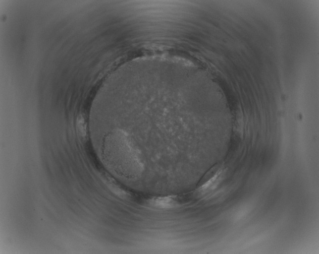 X0000070340086200606231543