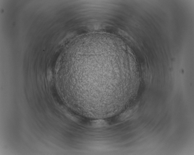 X0000070340087200606231543