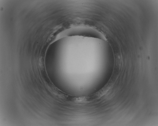 X0000070340088200606231543