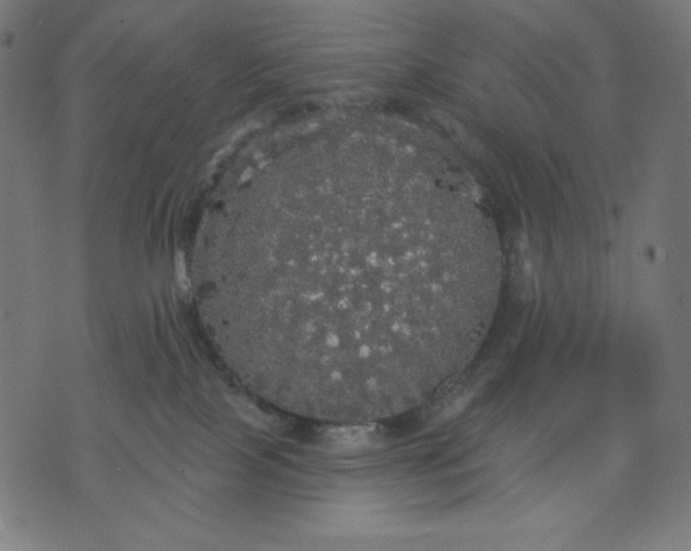 X0000070340089200606231543