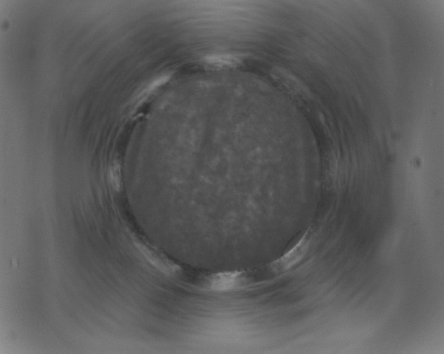 X0000070340090200606231543