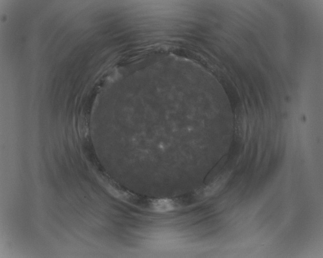 X0000070340091200606231543