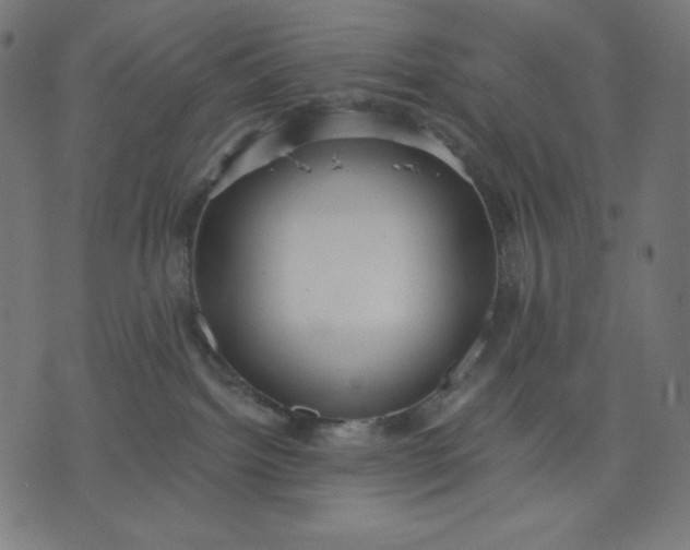 X0000070340092200606231543